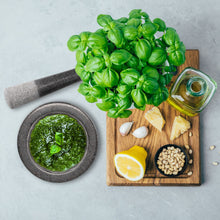 Lade das Bild in den Galerie-Viewer, XL Granit Mörser mit Stössel Dunkel-Grau