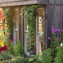 Lade das Bild in den Galerie-Viewer, Dekorative Türglocke mit Ornamenten