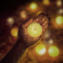 Lade das Bild in den Galerie-Viewer, LED LICHTERKETTE 10 Kugeln Weiss-Grau-Braun für Aussen/Innen