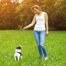 Lade das Bild in den Galerie-Viewer, Leckerlipistole - Leckerlikatapult