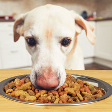 Lade das Bild in den Galerie-Viewer, Standfeste Futterbar für Hunde 2 Näpfe