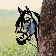 Lade das Bild in den Galerie-Viewer, Pferd Schild schwarz Jam-Factory.ch
